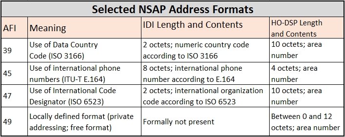 NSAP地址格式