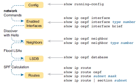 OSPF审查