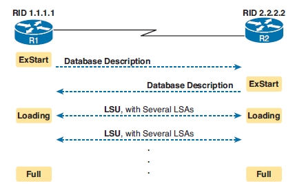 OSPF更新报文