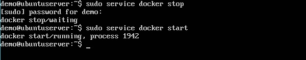 服务 Docker 启动