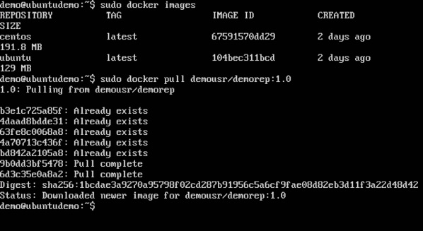 Docker Pull命令