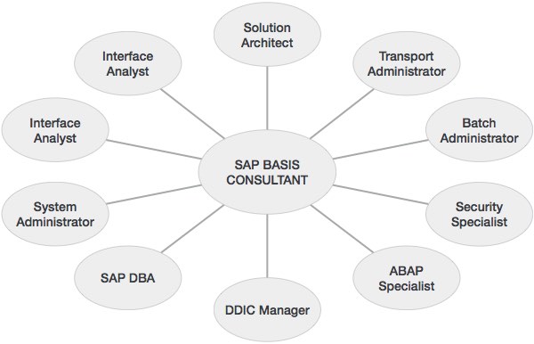 SAP基础顾问