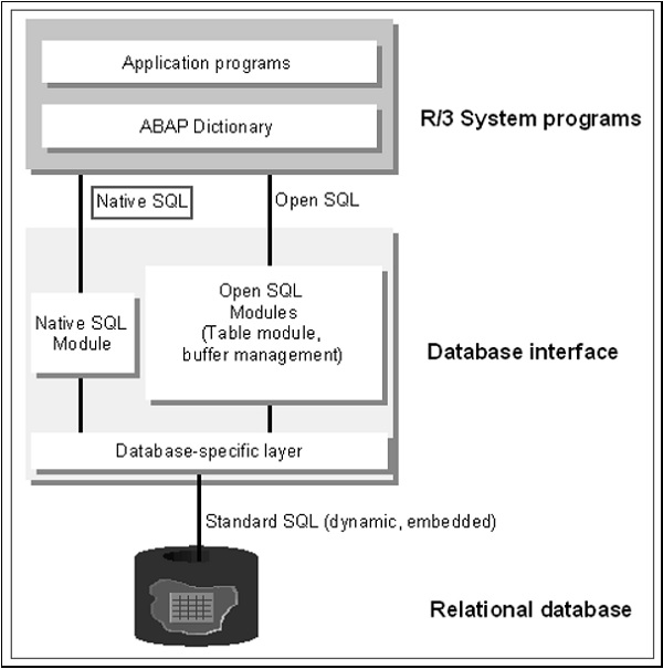 本机 SQL 语句