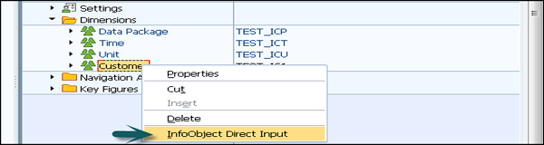 InfoObject 直接输入