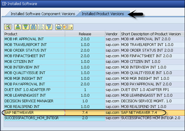 产品版本 SAP NW